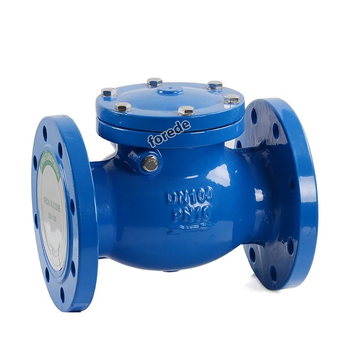 2 Inch Swing Check Valve
