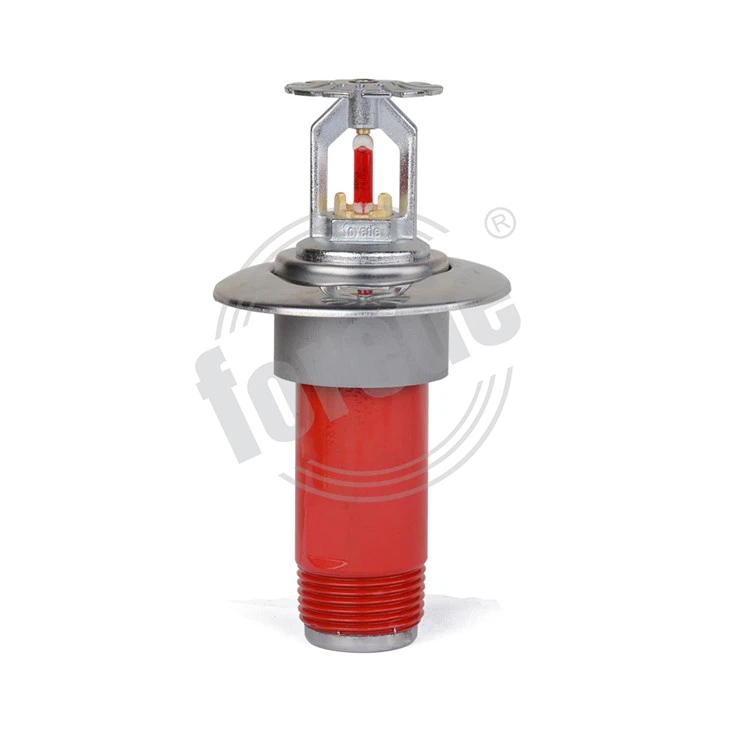 Dry Fire Sprinkler System