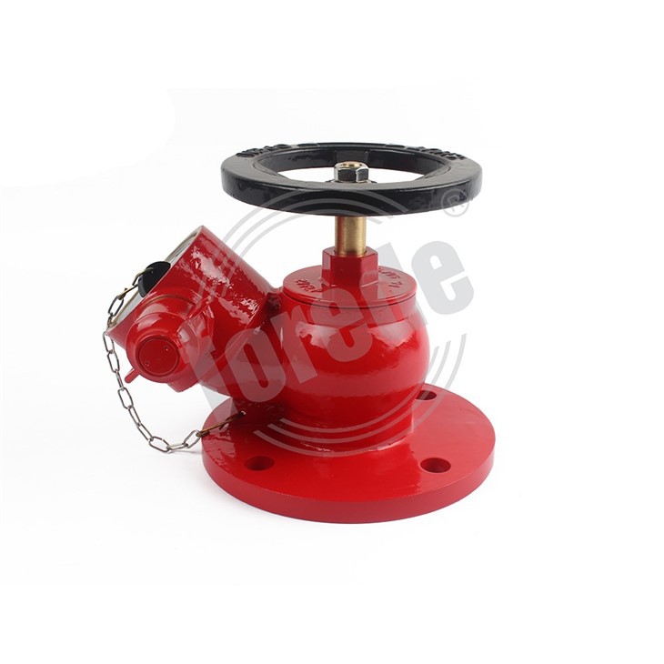 Landing Valve 2.5 Inch