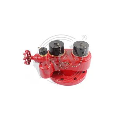 फायर ब्रीचिंग इनलेट 2- रास्ता